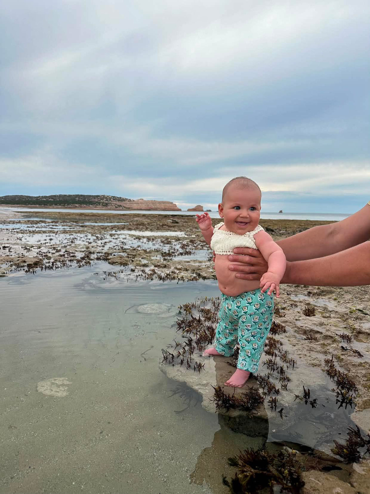Lily Pant - Seafoam Green