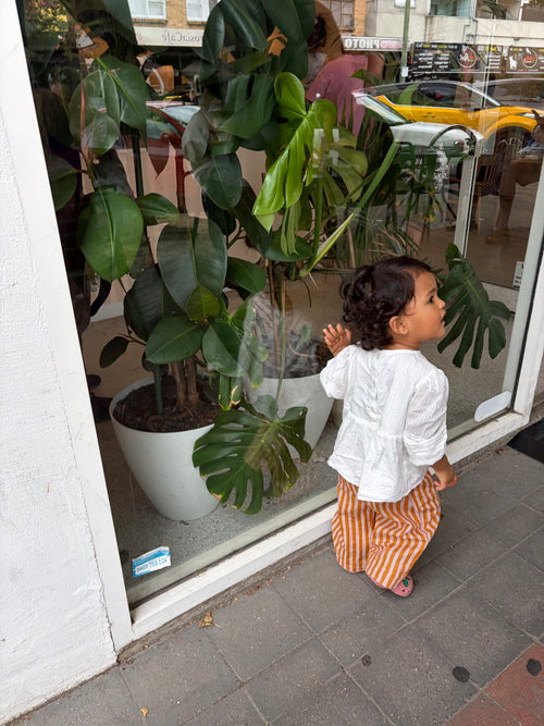 Weekend Pant - Mustard stripe