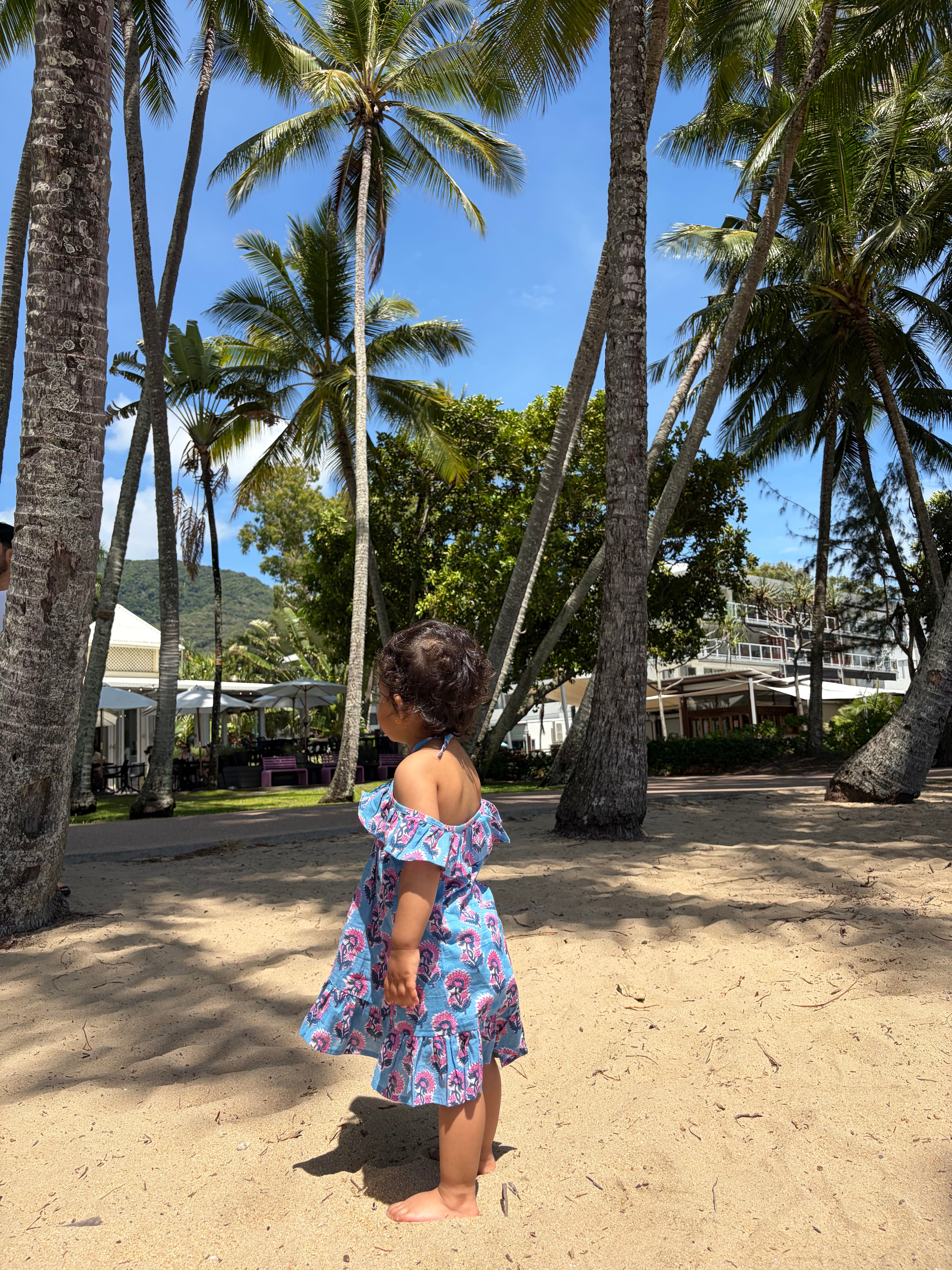 Isola Frill Dress - Blue Rosa