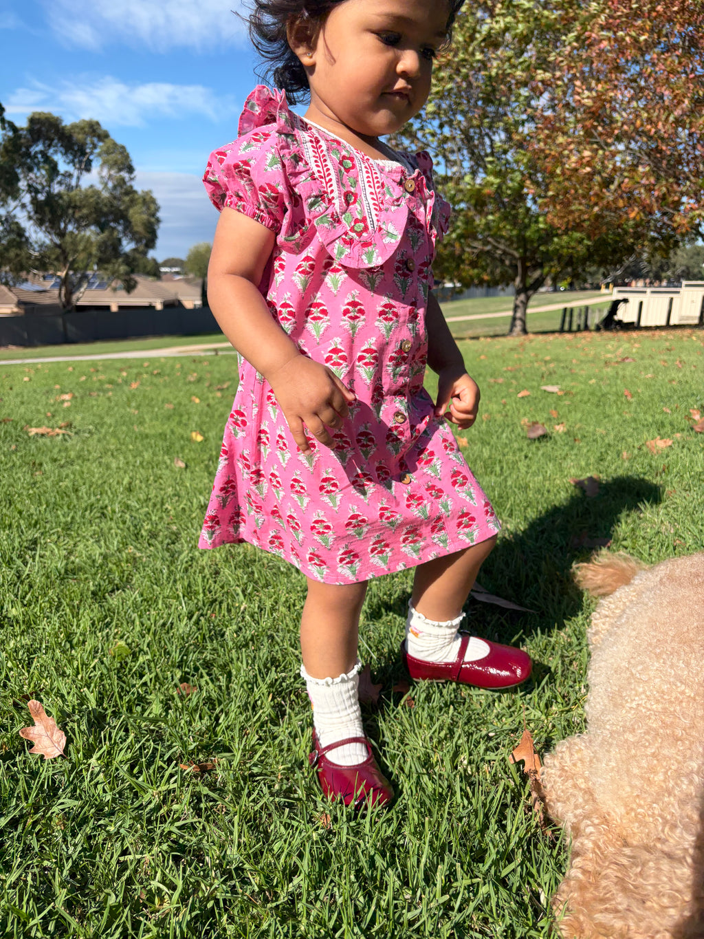 Kyra Dress - Pink Garden