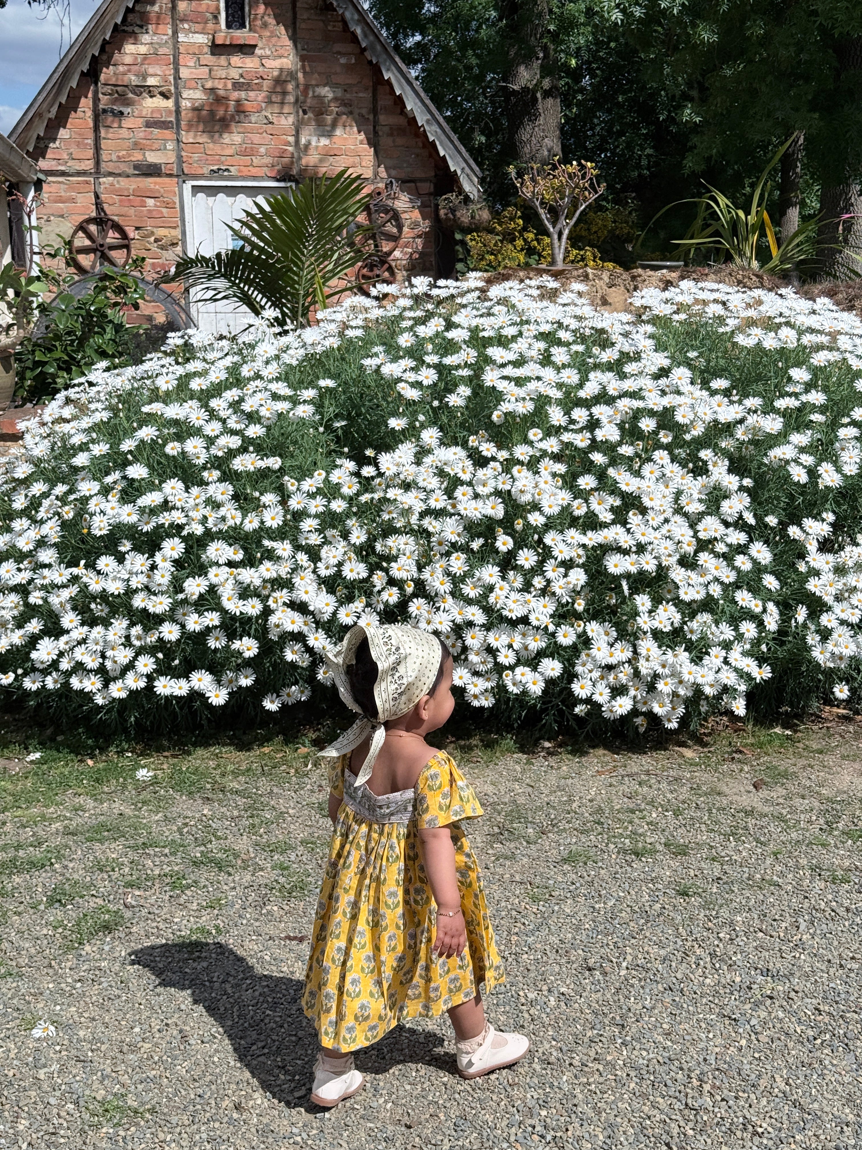 Willow Mini Dress - Daisy Yellow