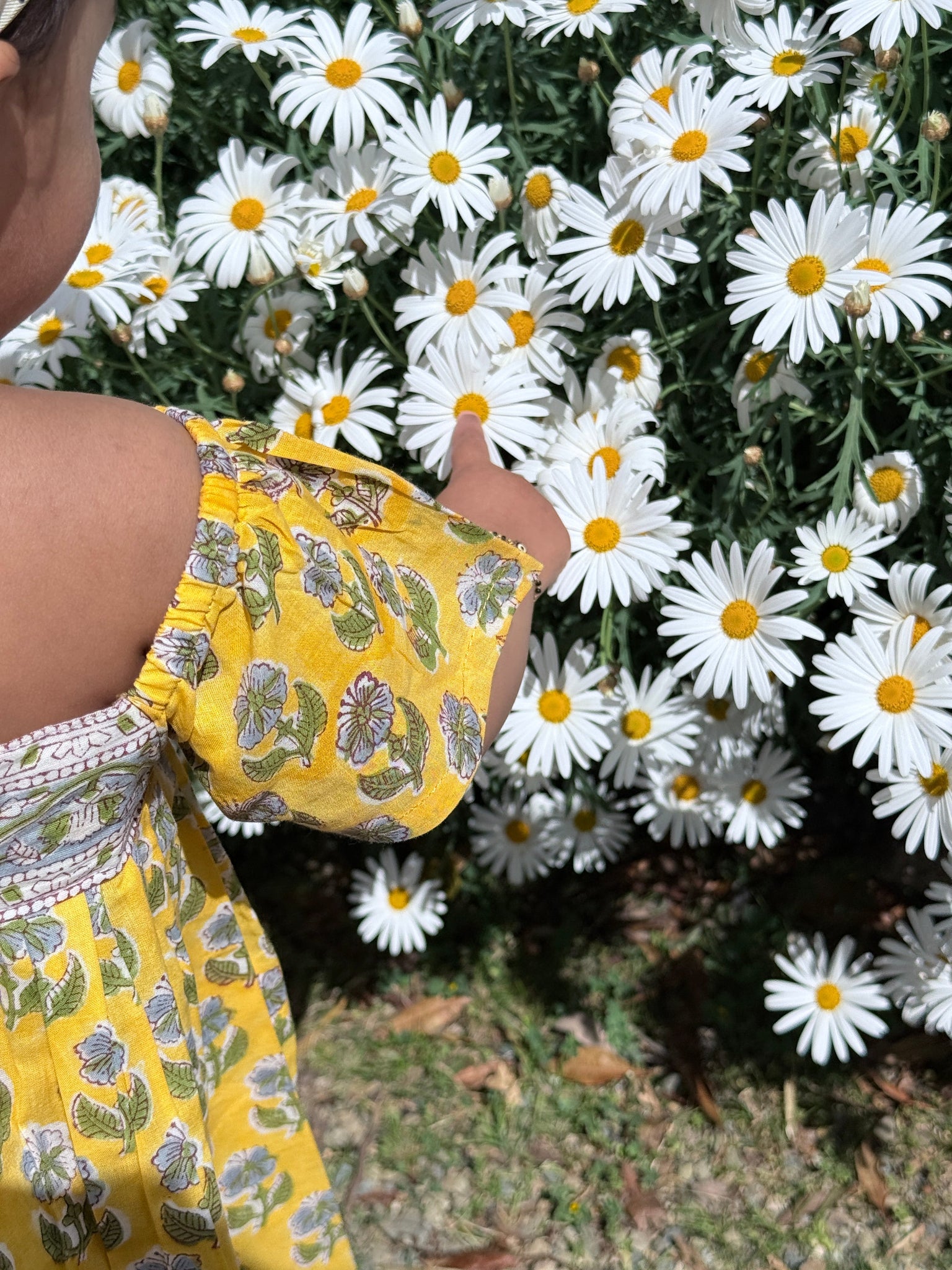 Willow Mini Dress - Daisy Yellow