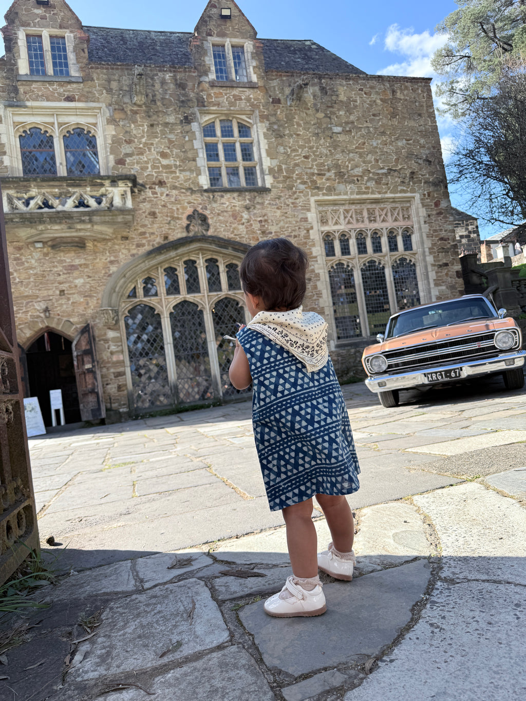 Ivy Mini Dress - Indigo