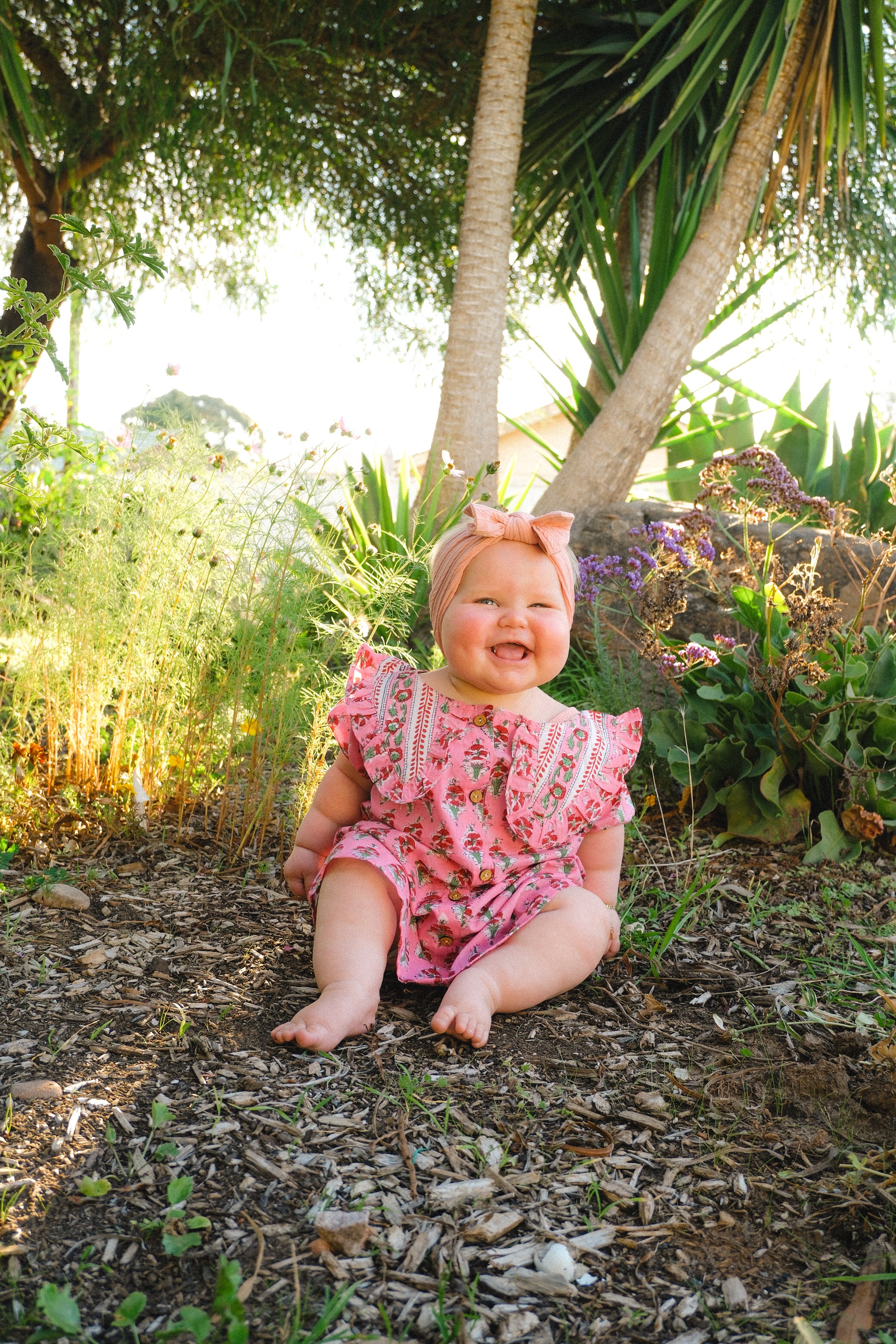 Little Daisy May